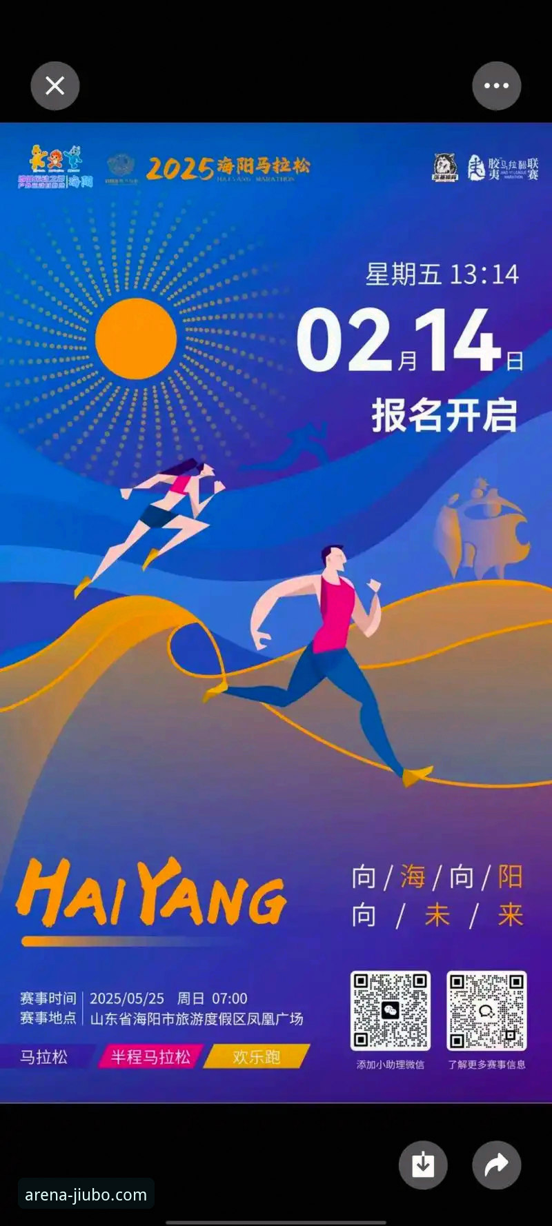 资深用户分享：九博体育平台2025新版下载安装心得与实战技巧